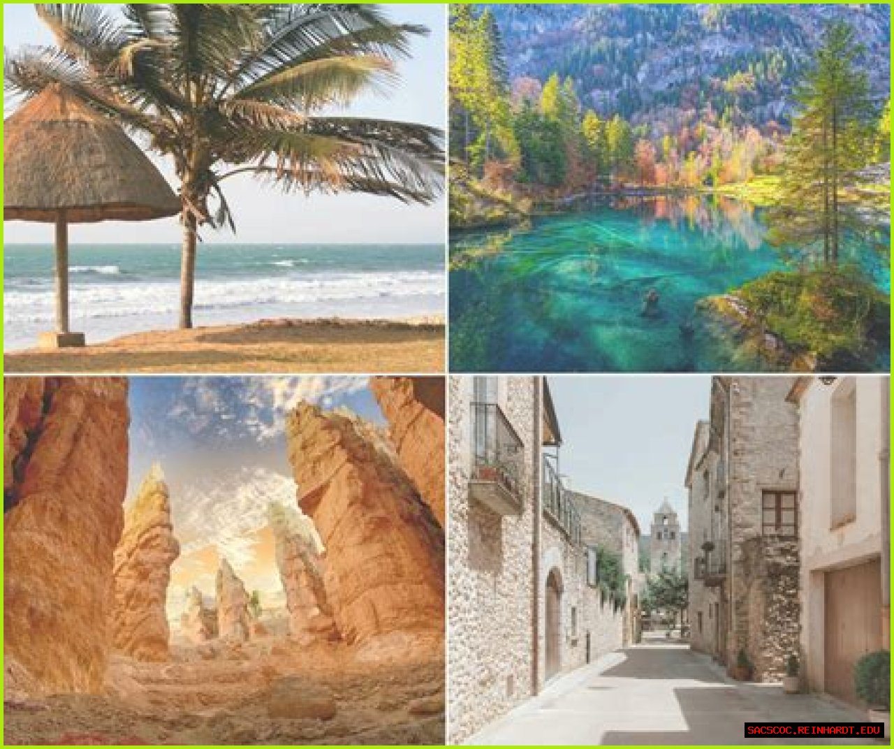 Uncover Hidden Gems And Unforgettable Performances